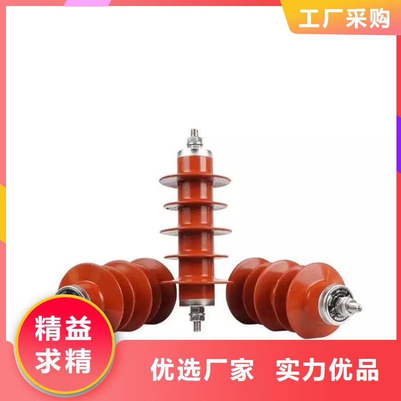 氧化锌避雷器高压限流熔断器品质保障售后无忧值得信赖