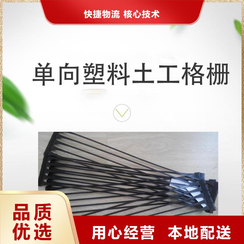 单向塑料土工格栅【聚乙烯土工膜】质检严格以质量求生存