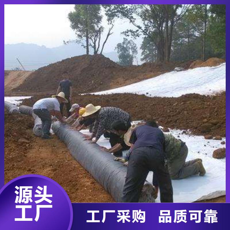 膨润土防水毯蜂巢格室量大更优惠价格低