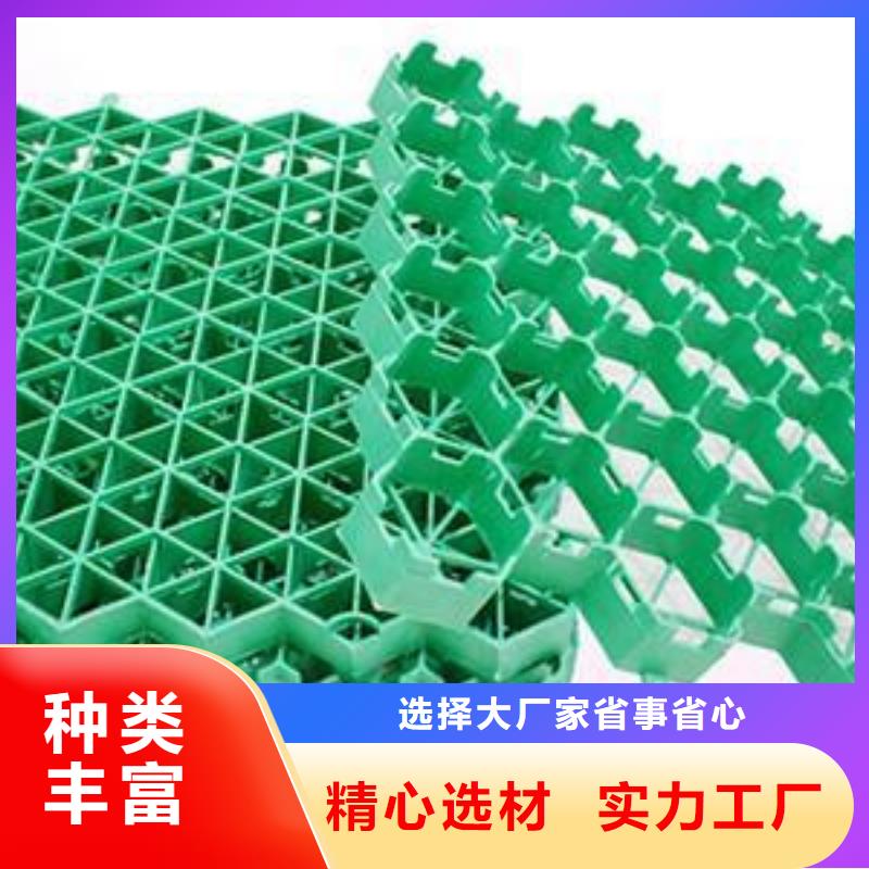 植草格塑料土工滤网服务周到生产型