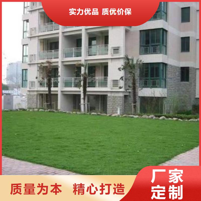 植草格土工滤网现货充足量大优惠本地公司