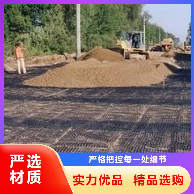 pp焊接土工格栅_HDPE土工膜行业优选本地厂家值得信赖