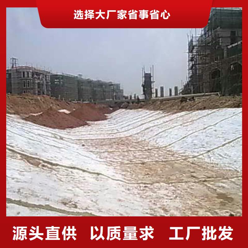 【膨润土防水毯】,双向土工格栅行业优选当地经销商