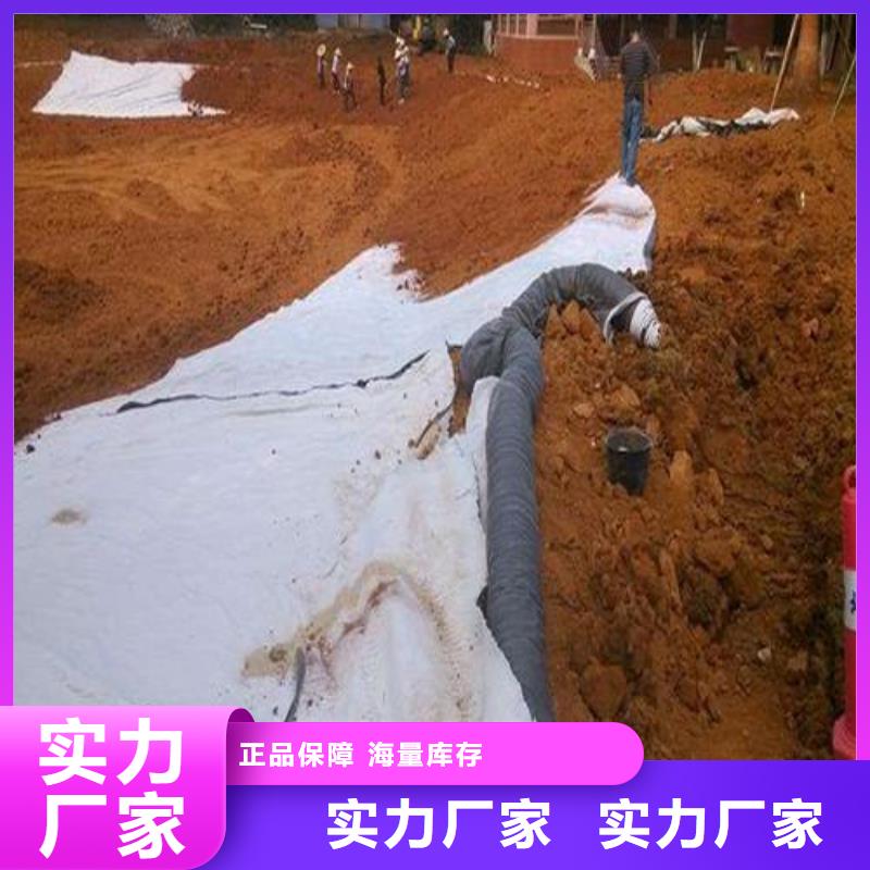 膨润土防水毯防水土工布工期短发货快本地公司