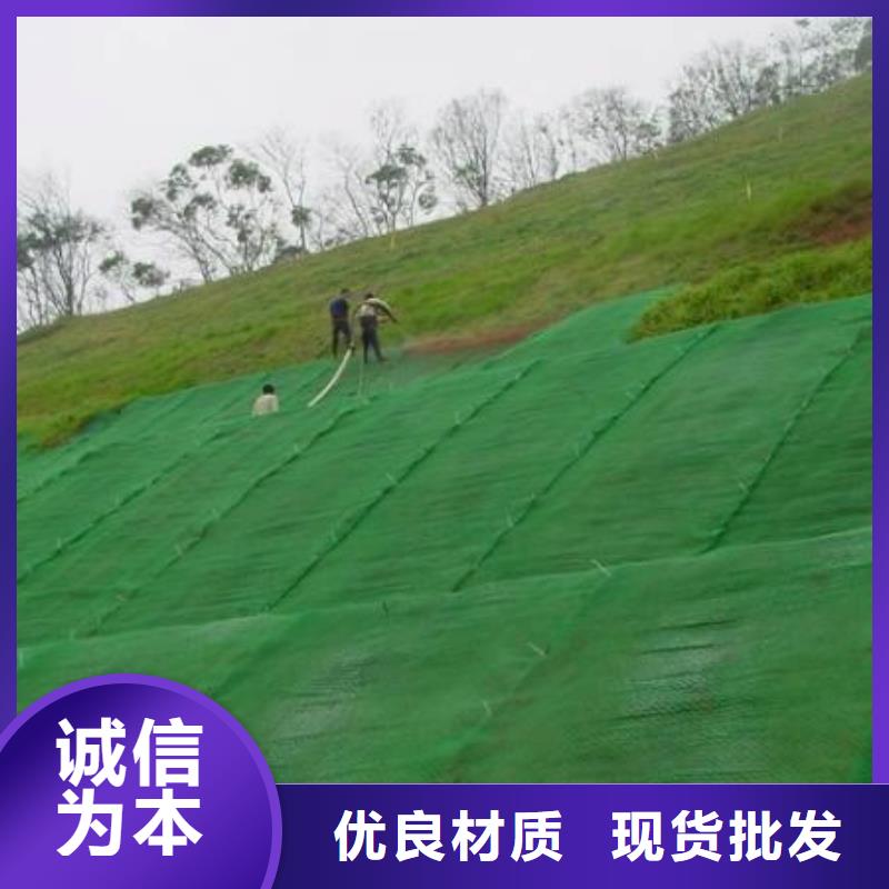 三维植被网_涤纶格栅批发商可定制