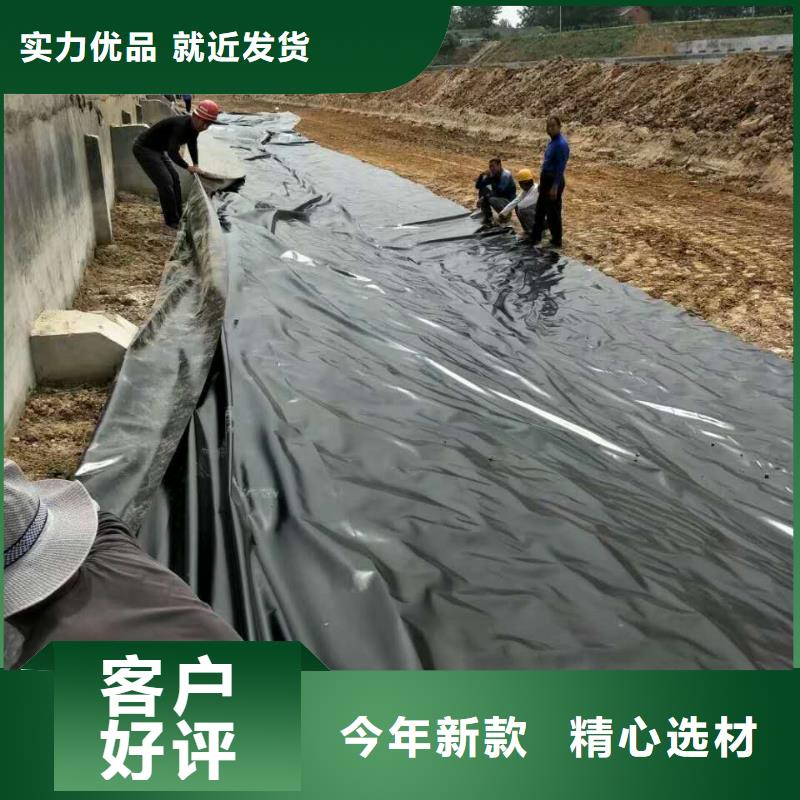 【土工膜】涤纶土工格栅实力商家供货稳定本地服务商