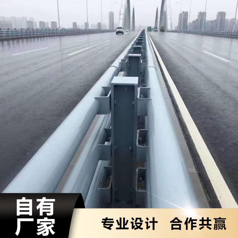 桥梁护栏_市政道路防护栏种类多质量好现货直供