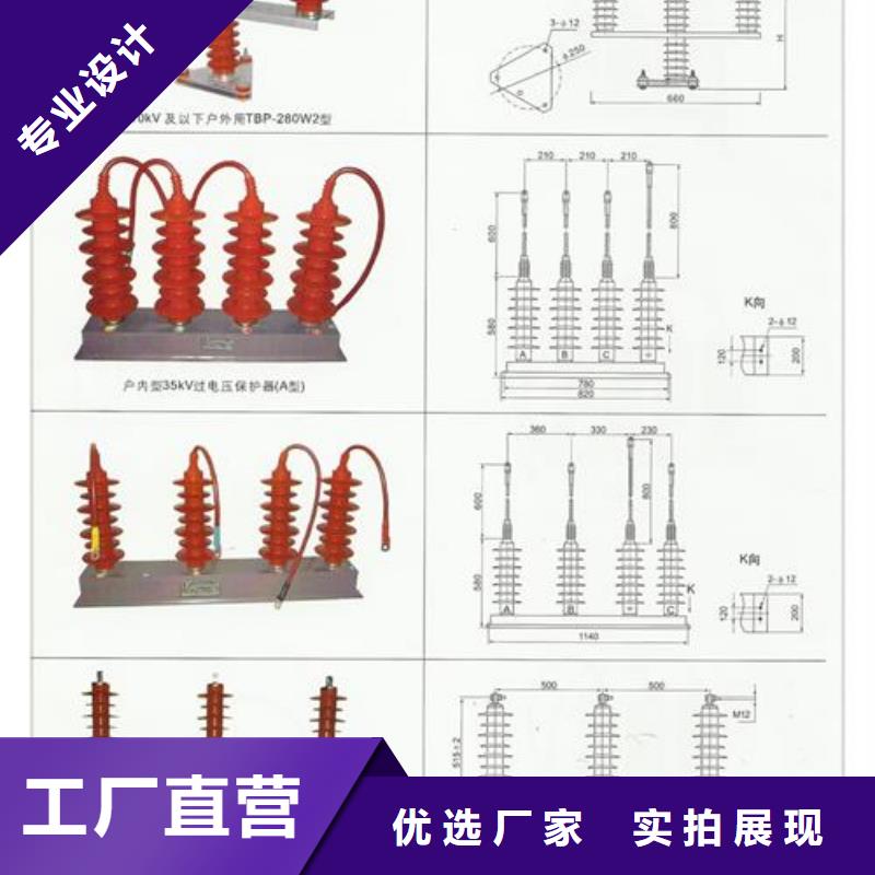 过电压保护器绝缘子N年专注实体厂家