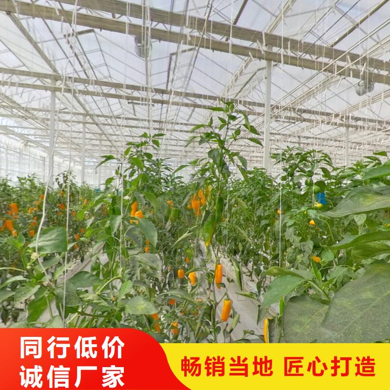 大棚管_
蔬菜温室大棚管不只是质量好本地品牌