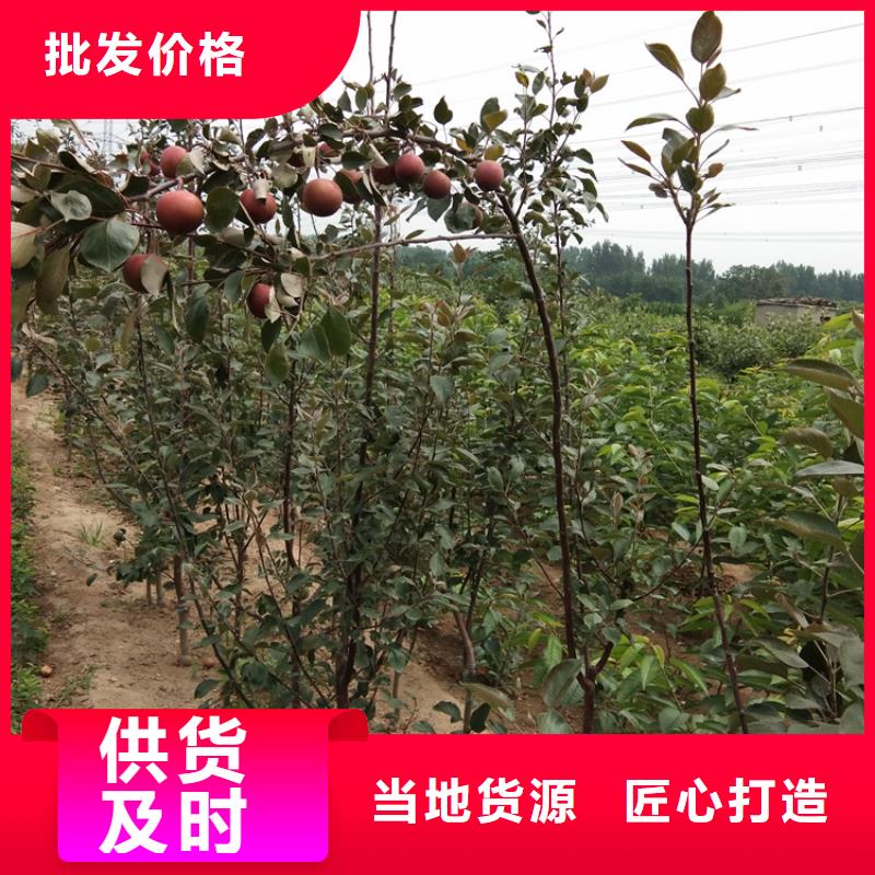 【苹果桃树苗质检合格出厂】附近生产商