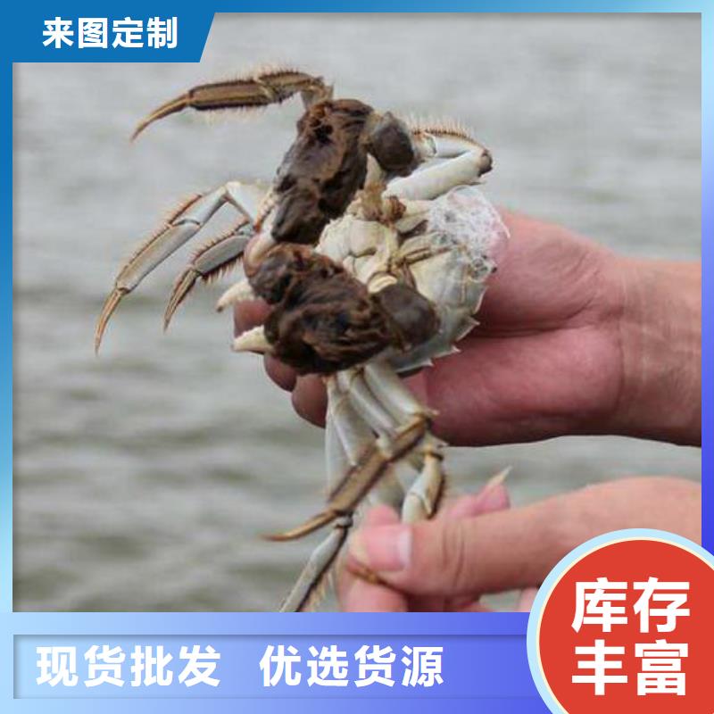 去阳澄湖蟹哪家好在苏州阳澄湖当地经销商