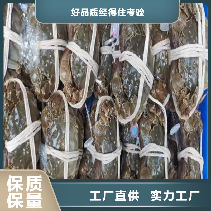 阳澄湖大闸蟹哪里正宗采购无忧