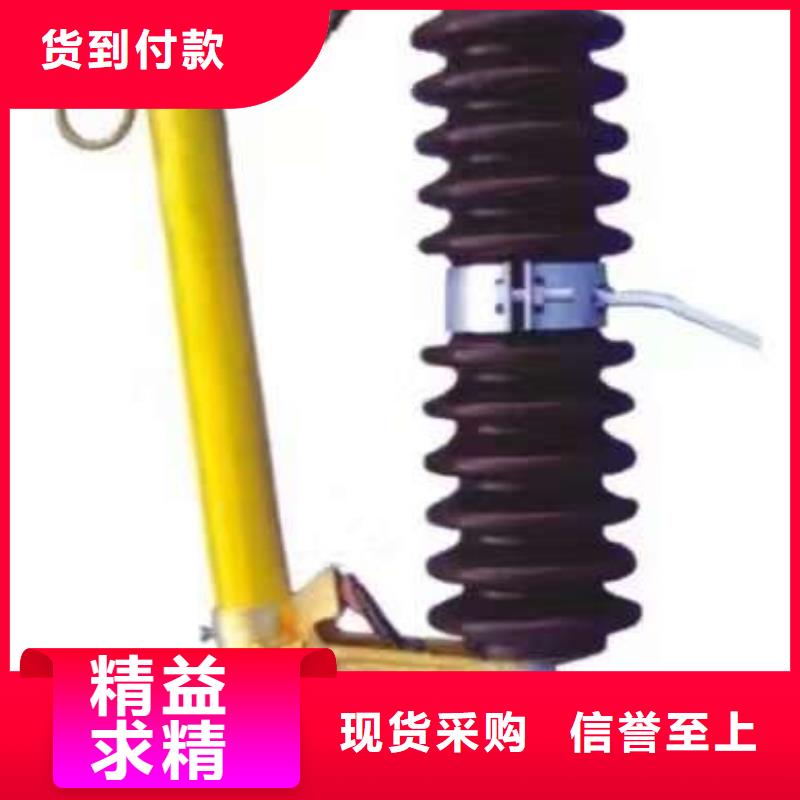 熔断器,跌落式熔断器品质保障售后无忧多年行业积累