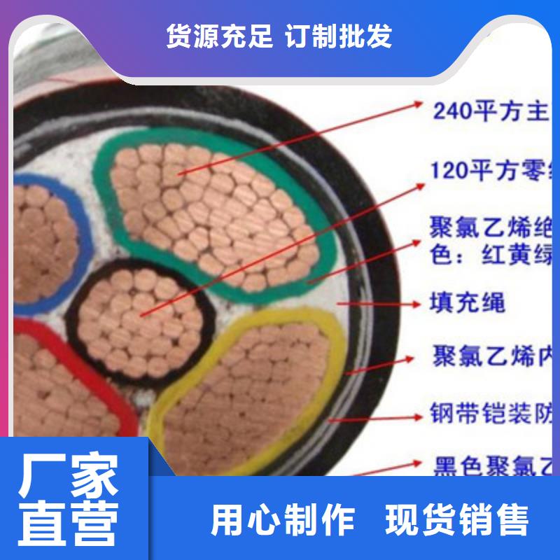 ​特种电缆控制电缆通过国家检测多年行业经验