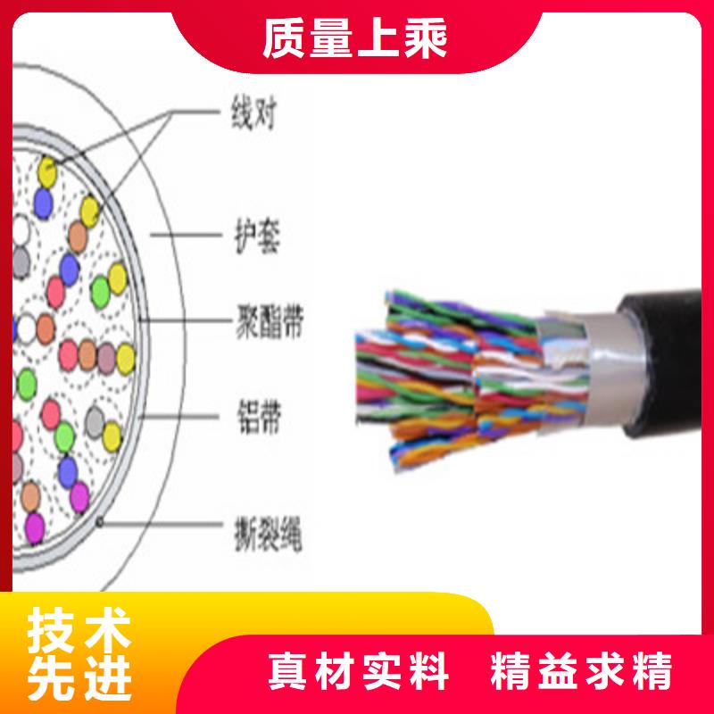 【通信电缆-屏蔽电缆标准工艺】品质过硬