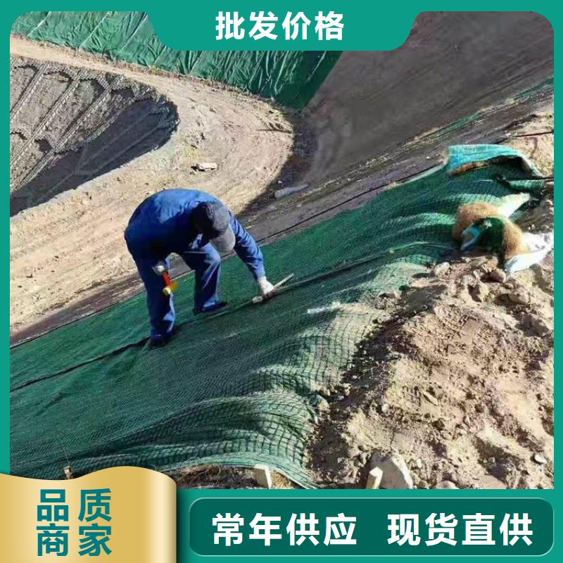 【椰丝毯】-塑料玻纤格栅把实惠留给您同城生产厂家