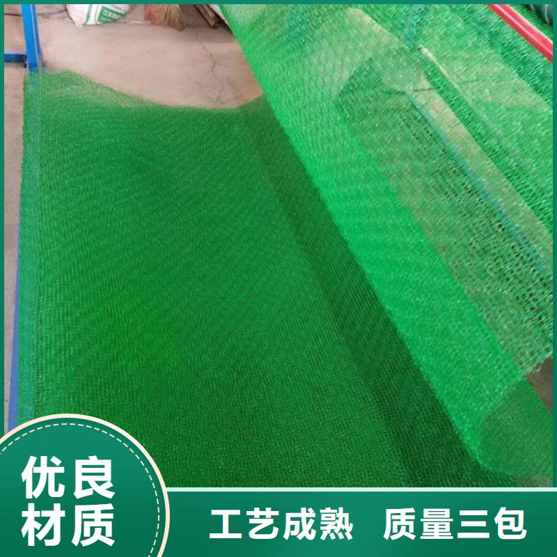 ​【三维植被网【单向塑料土工格栅】价格实在】同城制造商