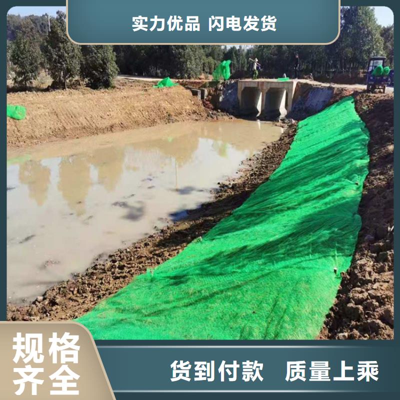 【三维植被网】防水板匠心制造生产厂家