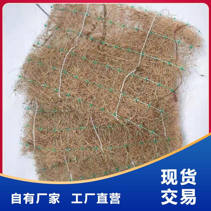 椰丝毯,HDPE土工膜联系厂家用好材做好产品