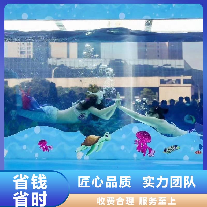 ​海洋主题动物表演海狮表演出租资质齐全当地品牌