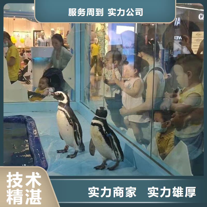 海洋主题动物表演水族海洋展专业承接附近服务商